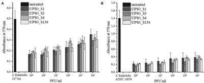 Bacteriophage Cocktail Can Effectively Control Salmonella Biofilm in Poultry Housing